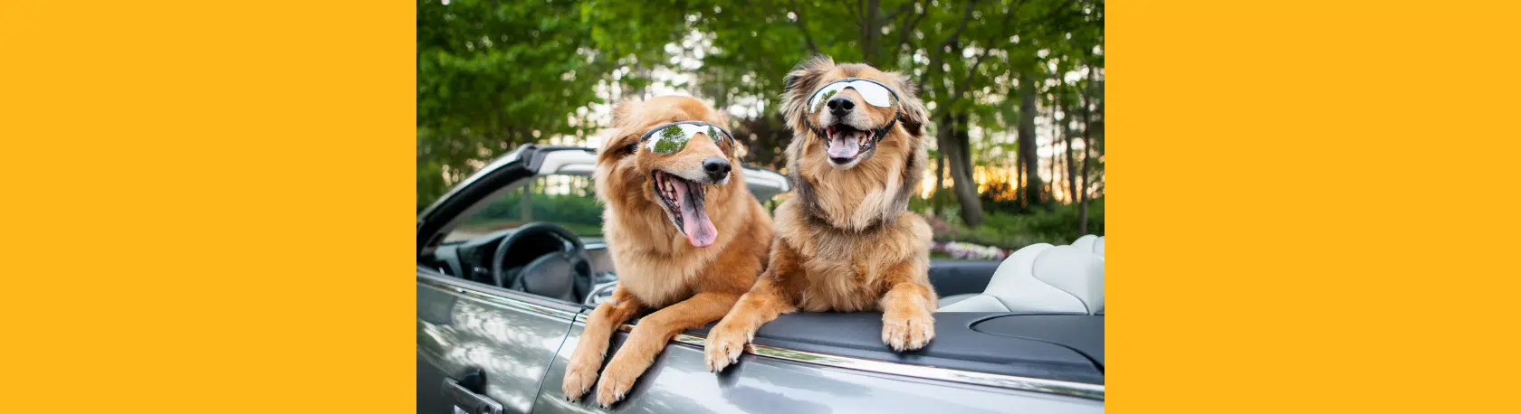 Spanish saying: Alegría ten, y vivirás bien - Easy Español