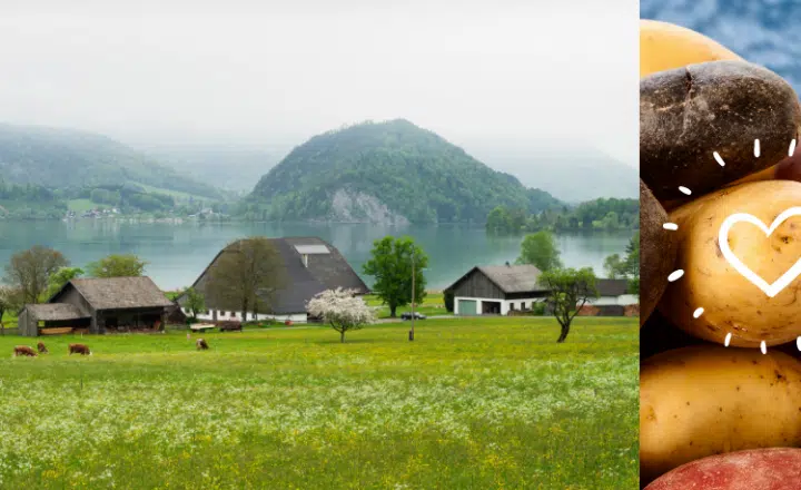 La palabra del día: Chacra - Easy Español