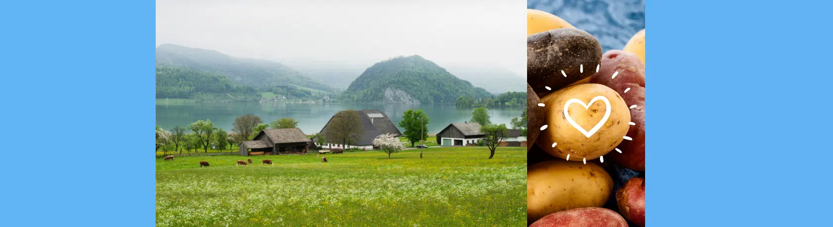 La palabra del día: Chacra - Easy Español