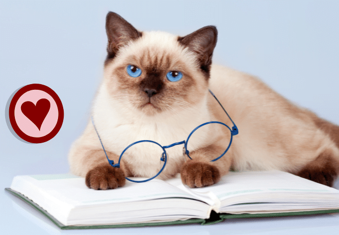 How do we use el gerundio en español? - Easy Español