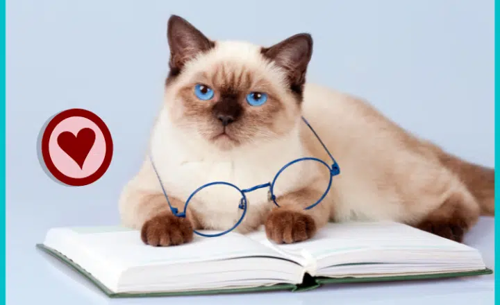 How do we use el gerundio en español? - Easy Español