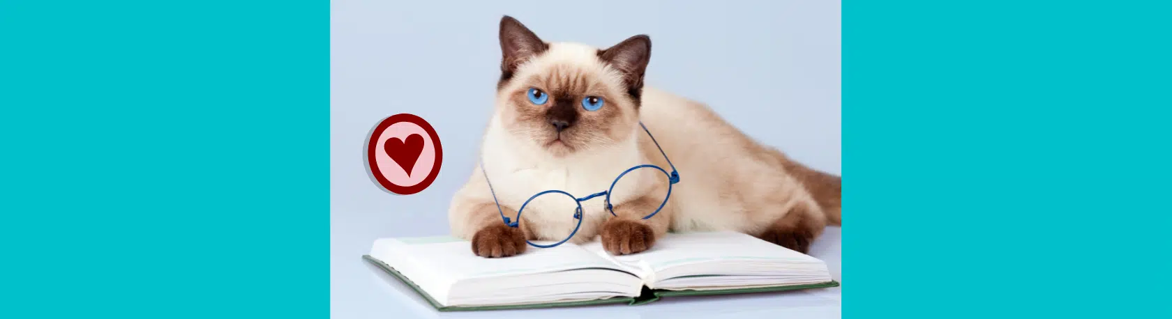 How do we use el gerundio en español? - Easy Español