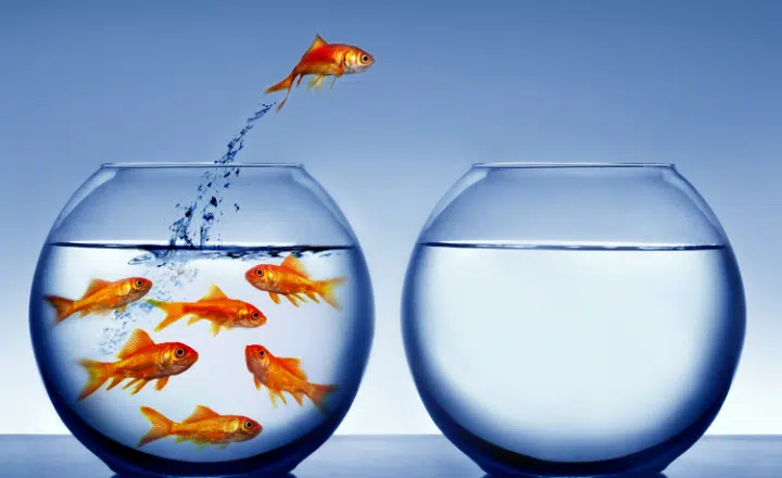 Diferencias entre HAY & ESTÁ/ESTÁN - Easy Español