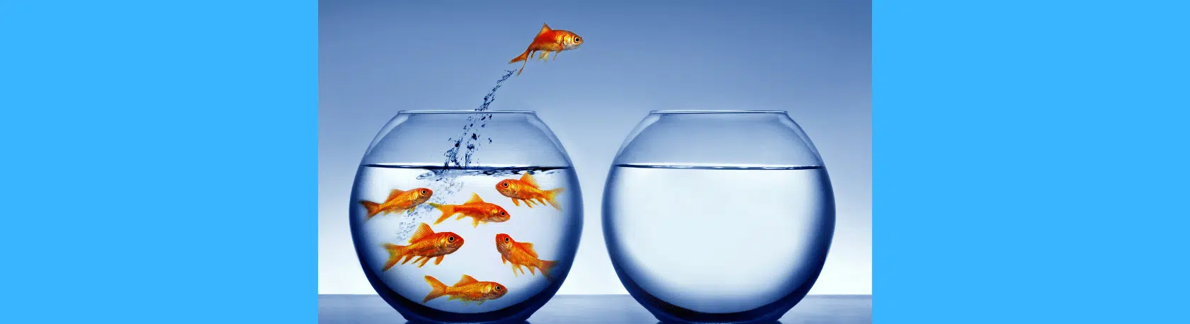 Diferencias entre HAY & ESTÁ/ESTÁN - Easy Español