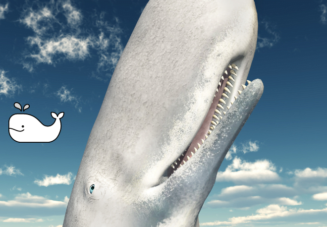 ¿Sabías que Moby Dick está parcialmente basado en una ballena albina chilena? - Easy Español