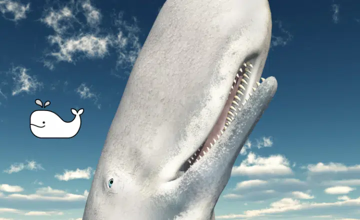¿Sabías que Moby Dick está parcialmente basado en una ballena albina chilena? - Easy Español