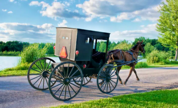 ¿Sabías que hay más de 200.000 amish por toda América Latina? - Easy Español