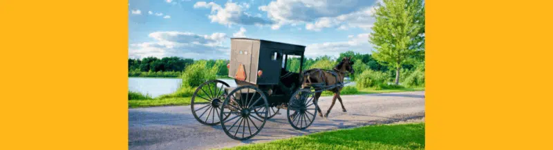 ¿Sabías que hay más de 200.000 amish por toda América Latina? - Easy Español