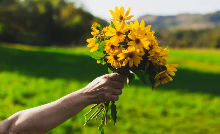 Saying of the day: Obras son amores, y no buenas razones - Easy Español