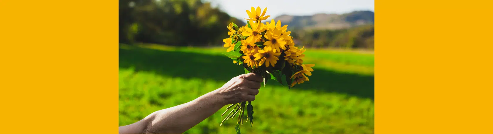 Saying of the day: Obras son amores, y no buenas razones - Easy Español