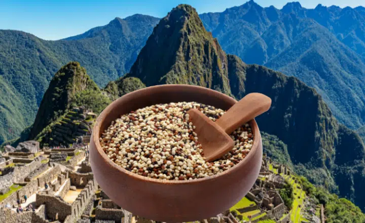 ¿Sabías que la quinua se conoce también como el 'grano madre' de los incas? - Easy Español