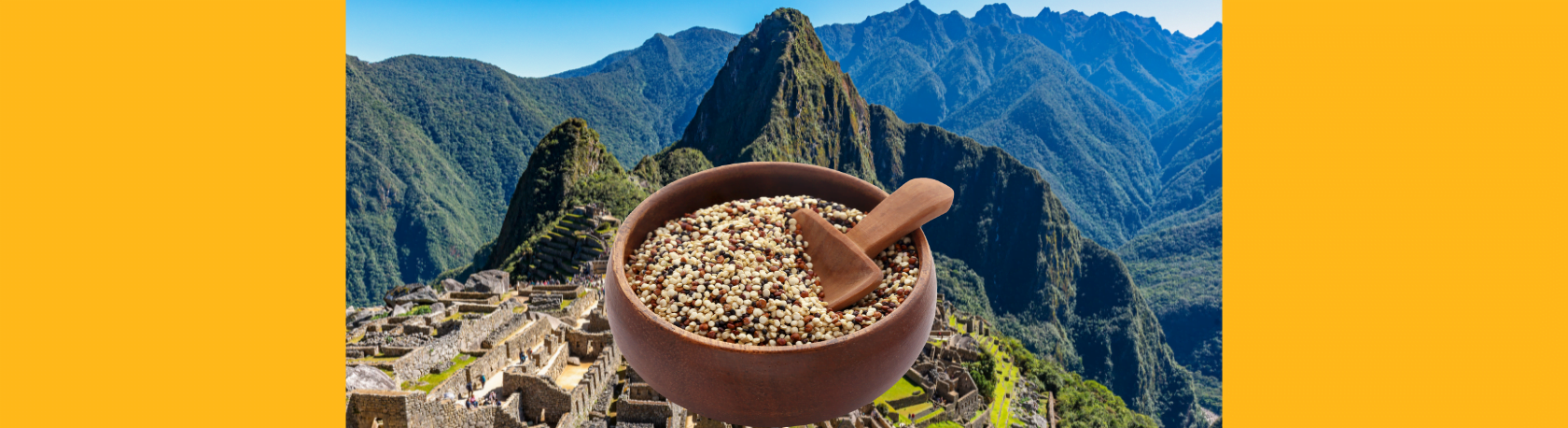 ¿Sabías que la quinua se conoce también como el 'grano madre' de los incas? - Easy Español