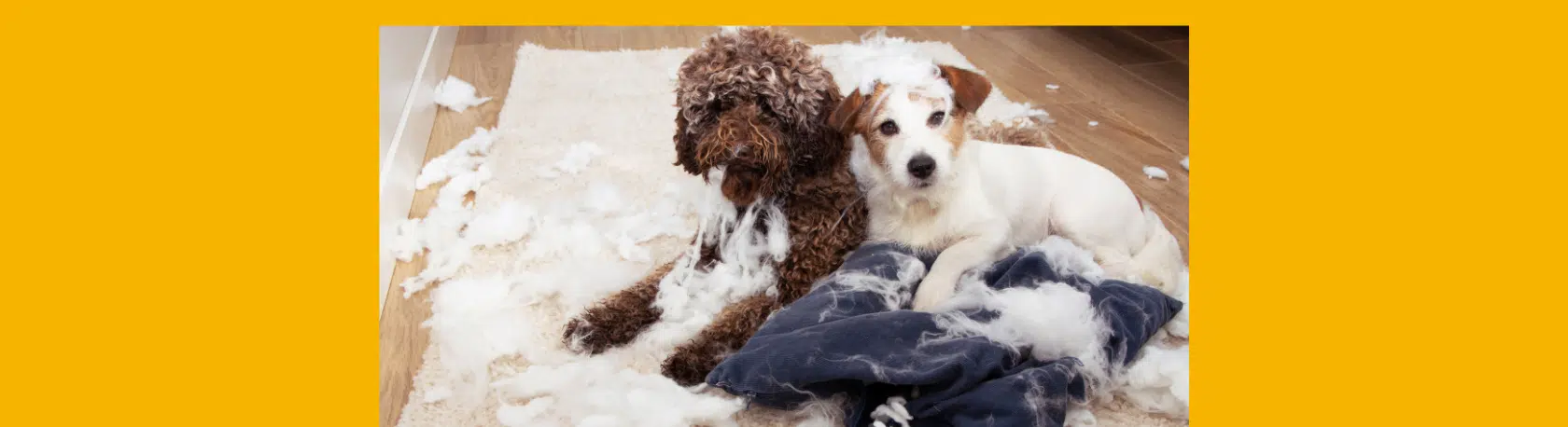 La palabra del día: Barrabasada - Easy Español