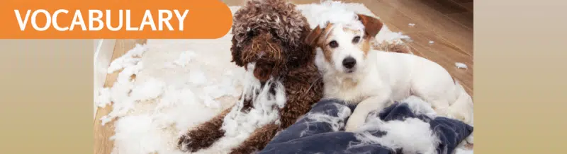 Spanish Word of the Day - La palabra del día: Barrabasada - Spanish vocabulary - Learn Spanish - Speak Spanish - Practice Spanish - Study Spanish - Easy Español