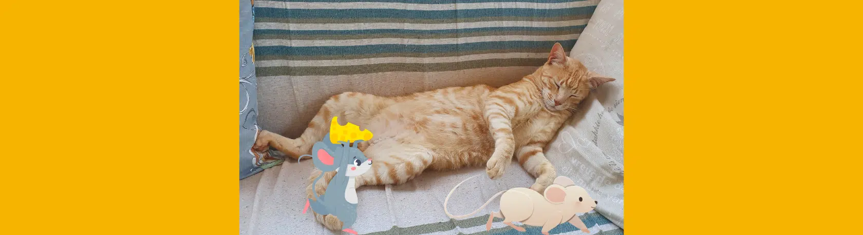 Saying of the day: Cuando el gato duerme, los ratones se pasean - Easy Español