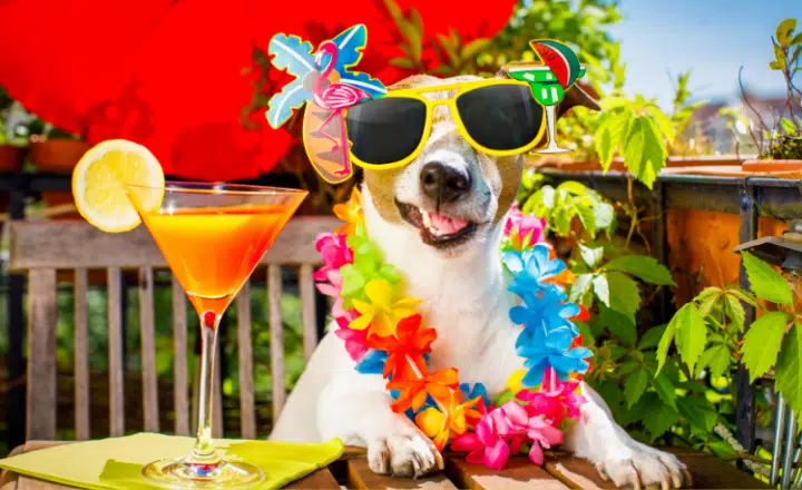 La palabra del día: Goma - Easy Español