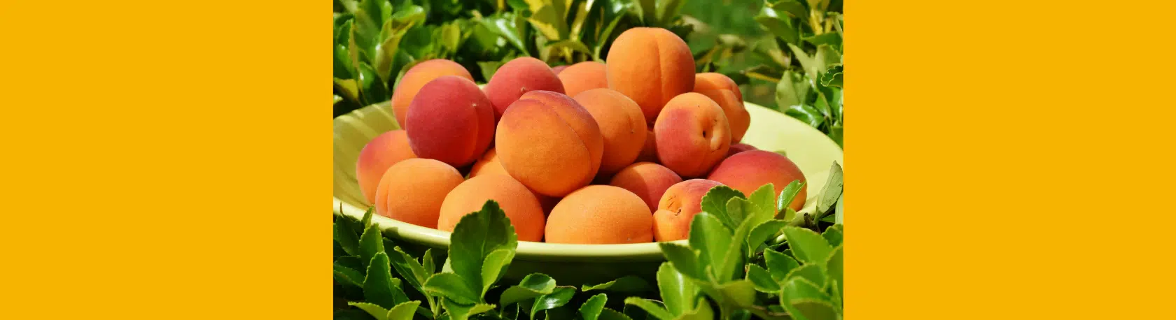 La palabra del día: Chabacano - Easy Español