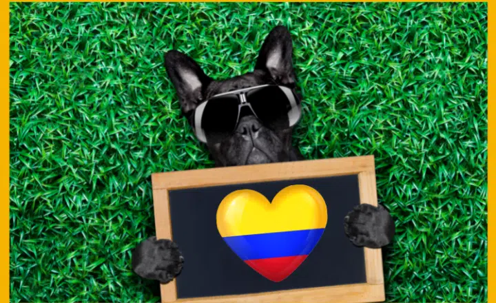 La palabra del día: Bacano - Easy Español