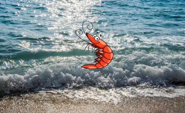 Saying of the day: Camarón que se duerme se lo lleva la corriente - Easy Español