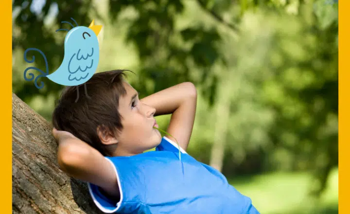 Saying of the day: Tener pájaros en la cabeza - Easy Español