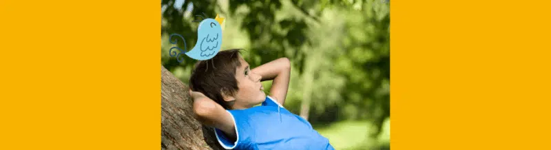 Saying of the day: Tener pájaros en la cabeza - Easy Español