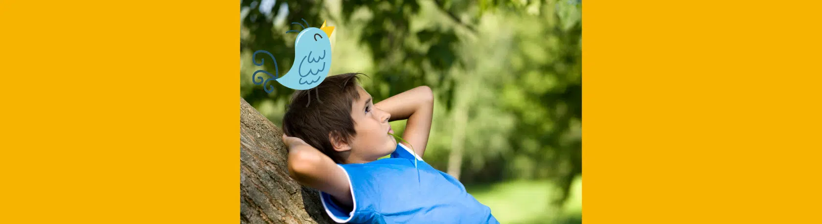 Saying of the day: Tener pájaros en la cabeza - Easy Español