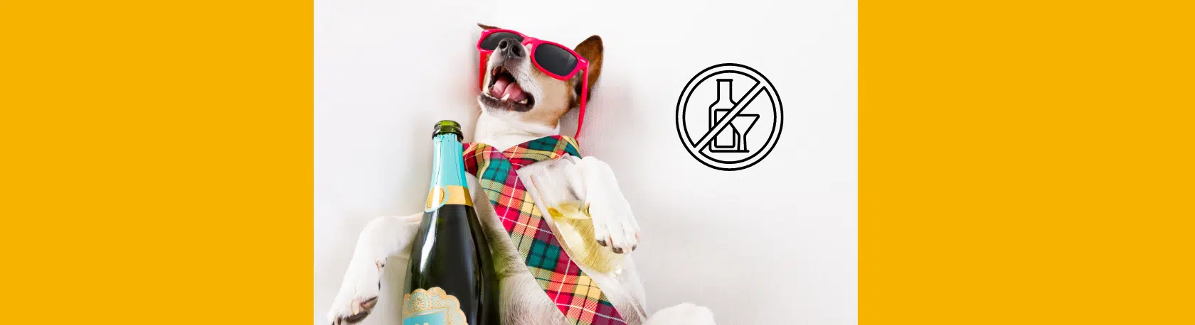 La palabra del día: Enguayabado - Easy Español