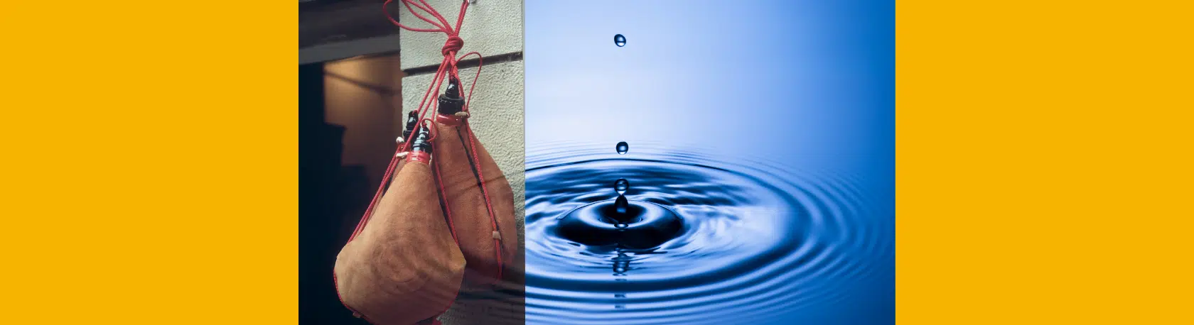 Saying of the day: Gota a gota, se llena la bota - Easy Español