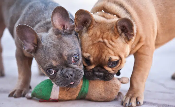 Different uses of "mismo" - Easy Español