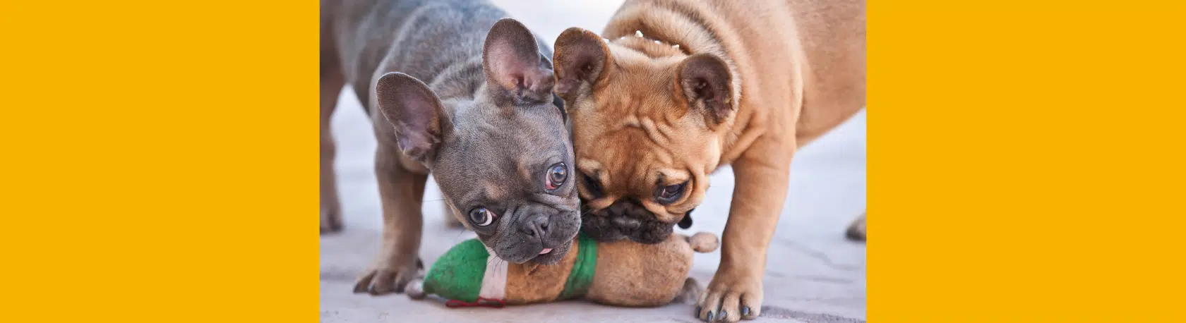 Different uses of "mismo" - Easy Español