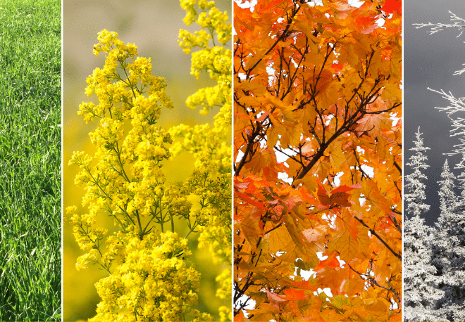 Three Spanish equivalents for the word "season" - Easy Español
