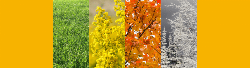 Three Spanish equivalents for the word 