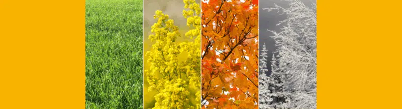 Three Spanish equivalents for the word "season" - Easy Español