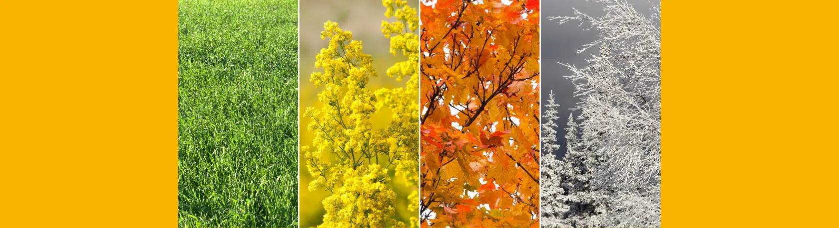 Three Spanish equivalents for the word "season" - Easy Español