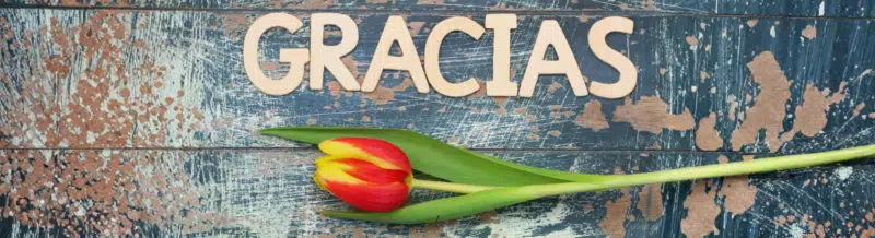Saying of the day: El que no agradece, no merece - Learn Spanish - Speak Spanish - Practice Spanish - Easy Español