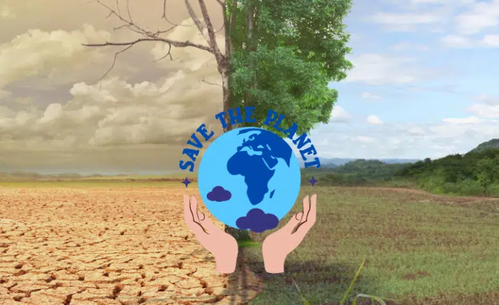 La palabra del día: Ecocidio - Easy Español