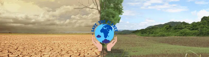 La palabra del día: Ecocidio - Easy Español