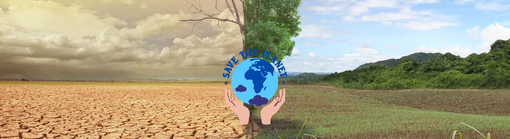 La palabra del día: Ecocidio - Easy Español