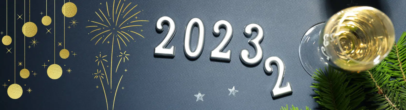 Useful phrases with the word 'Año' - Easy Español