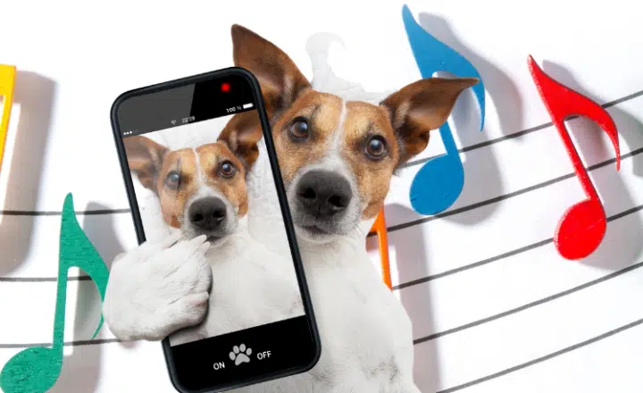 Many meanings of 'background' in Spanish - Easy Español