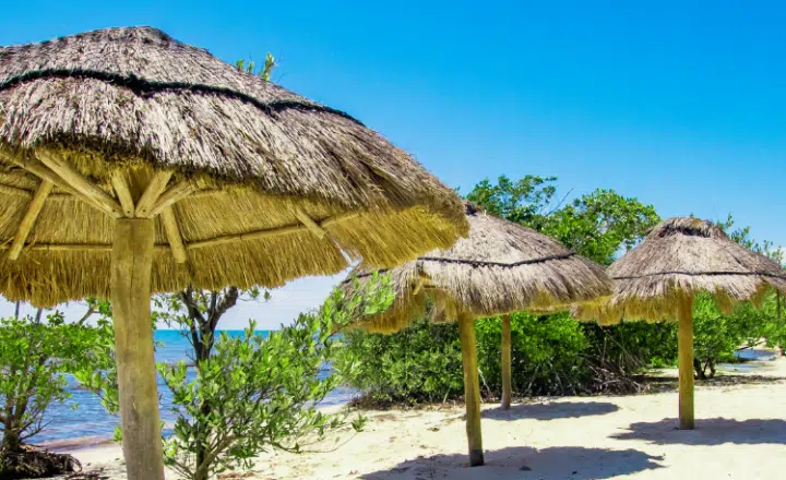 La palabra del día: Palapa - Easy Español