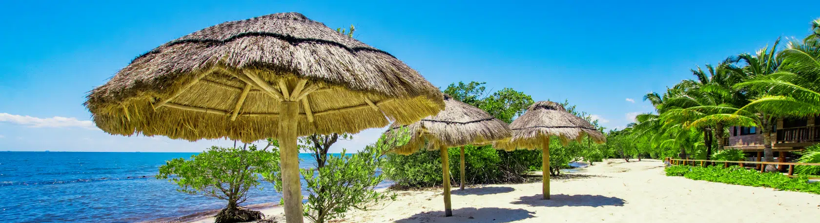 La palabra del día: Palapa - Easy Español