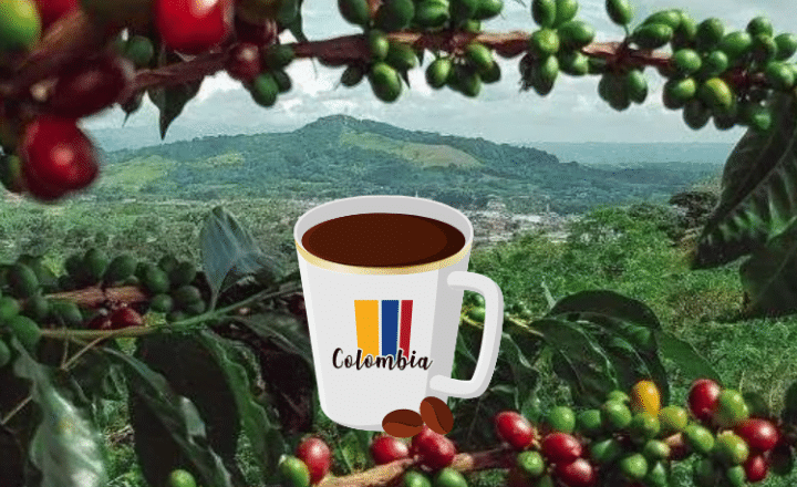 Easy Podcast: La ruta del café colombiano - Easy Español