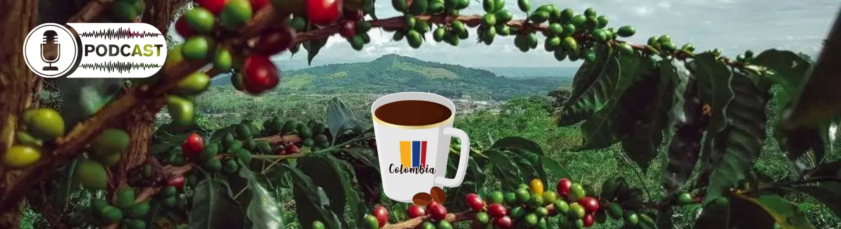 Easy Podcast: La ruta del café colombiano - Easy Español