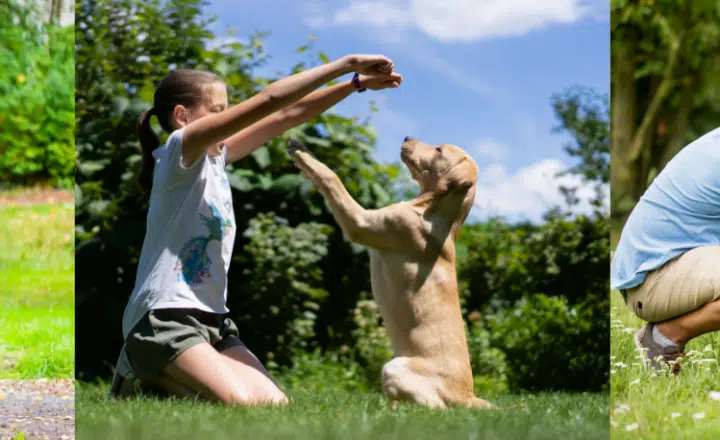 Giving orders using the Subjunctive (Intermediates) - Easy Español