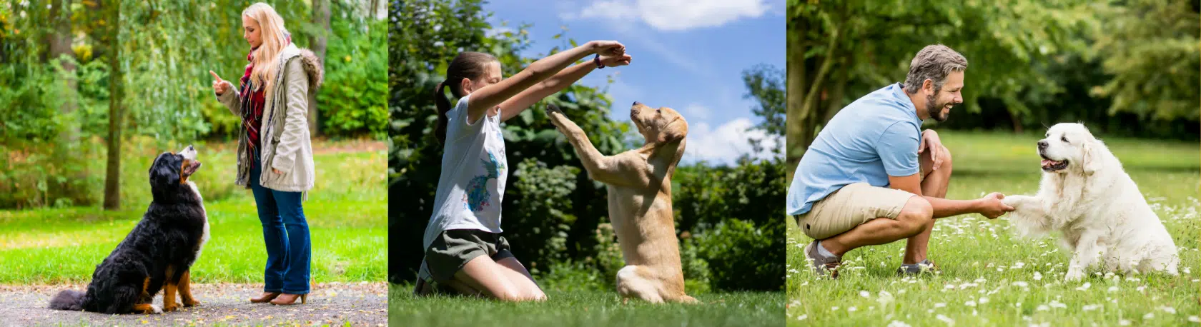 Giving orders using the Subjunctive (Intermediates) - Easy Español