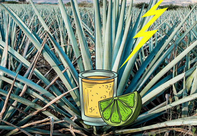 ¿Sabías que el tequila se descubrió gracias al impacto de un rayo? - Easy Español