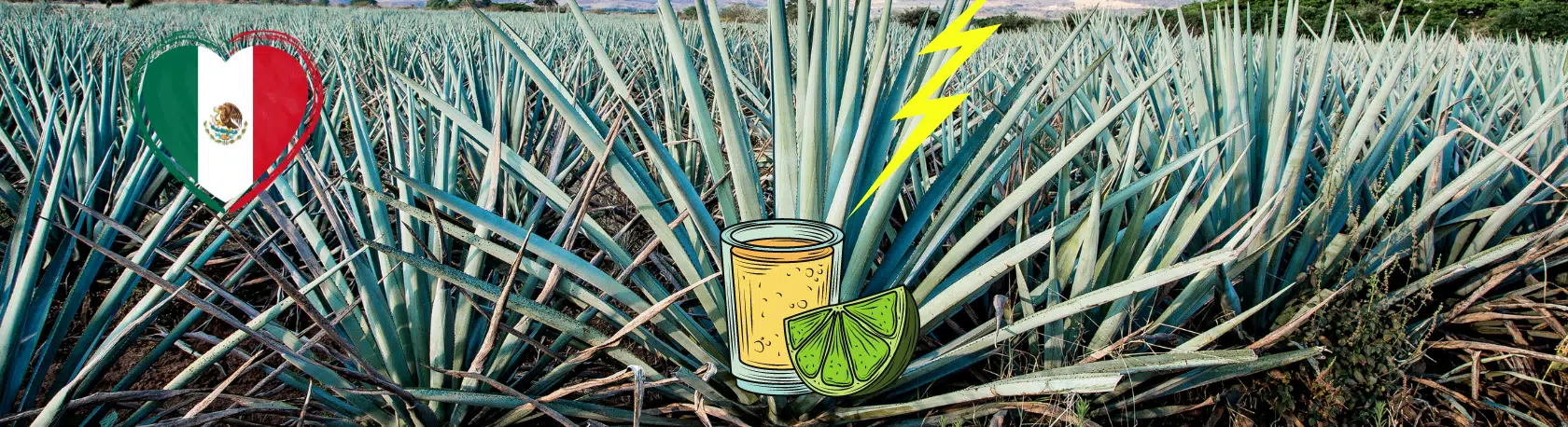 ¿Sabías que el tequila se descubrió gracias al impacto de un rayo? - Easy Español
