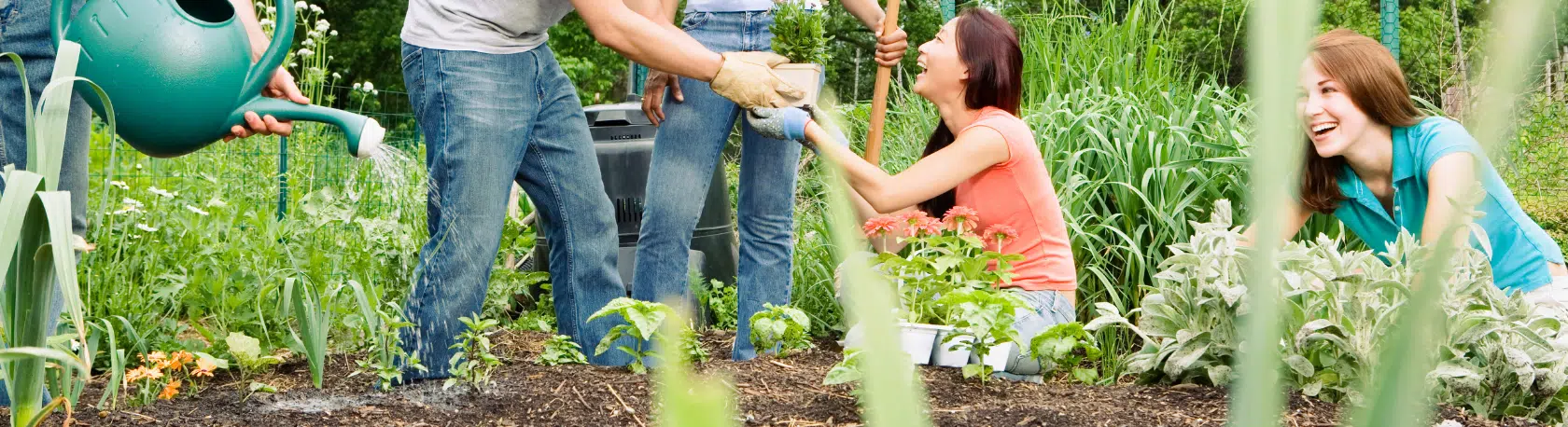 Build up your Spanish Vocabulary: Minga - Word of the Day - Easy Español