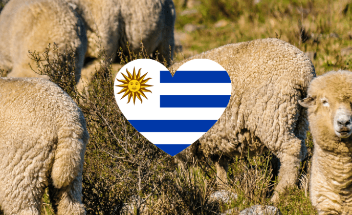 Build up your Spanish vocabulary with this fun fact about Uruguay - Easy Español - Speak Spanish now!